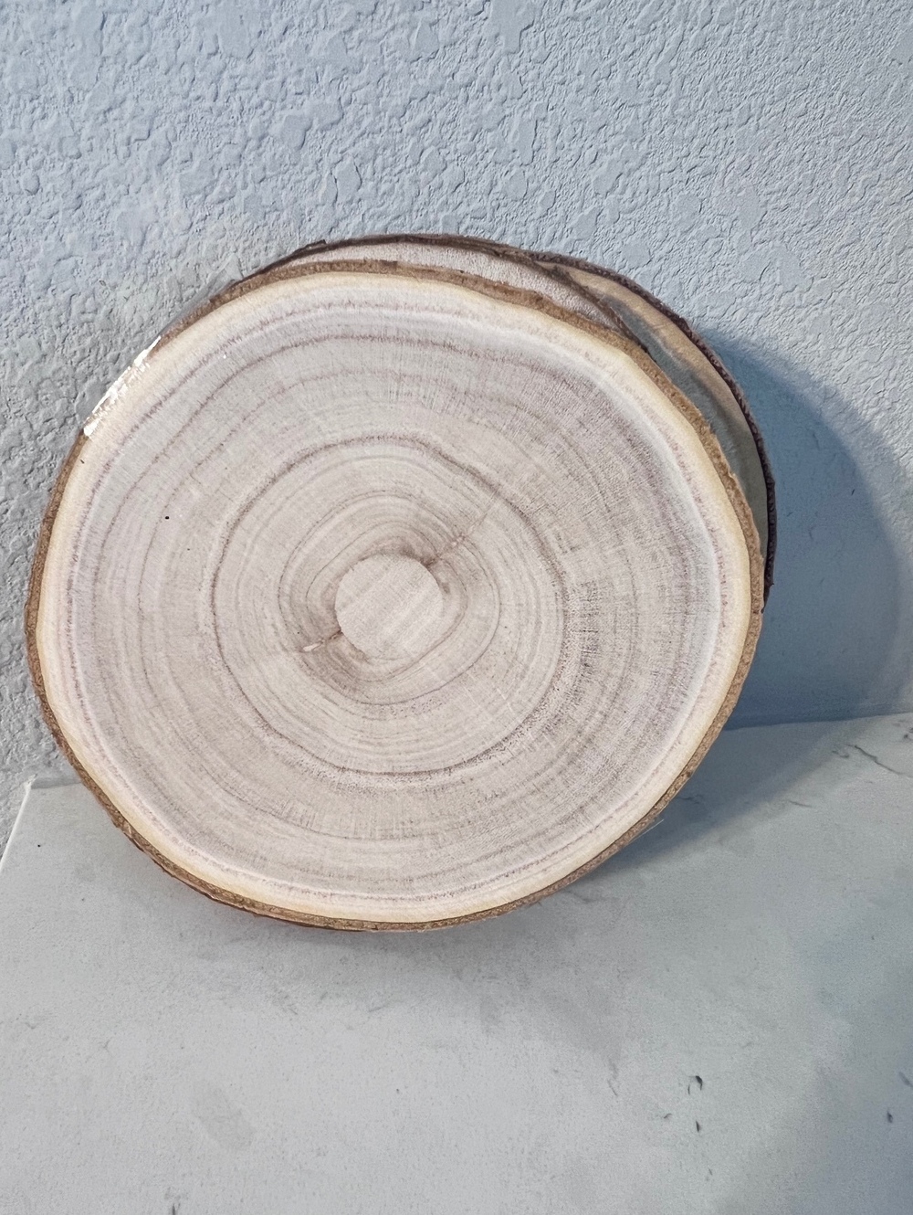 Set of 4 Natural Wood Slice Craft Rounds Unfinished Bark Edge DIY Wood Blanks